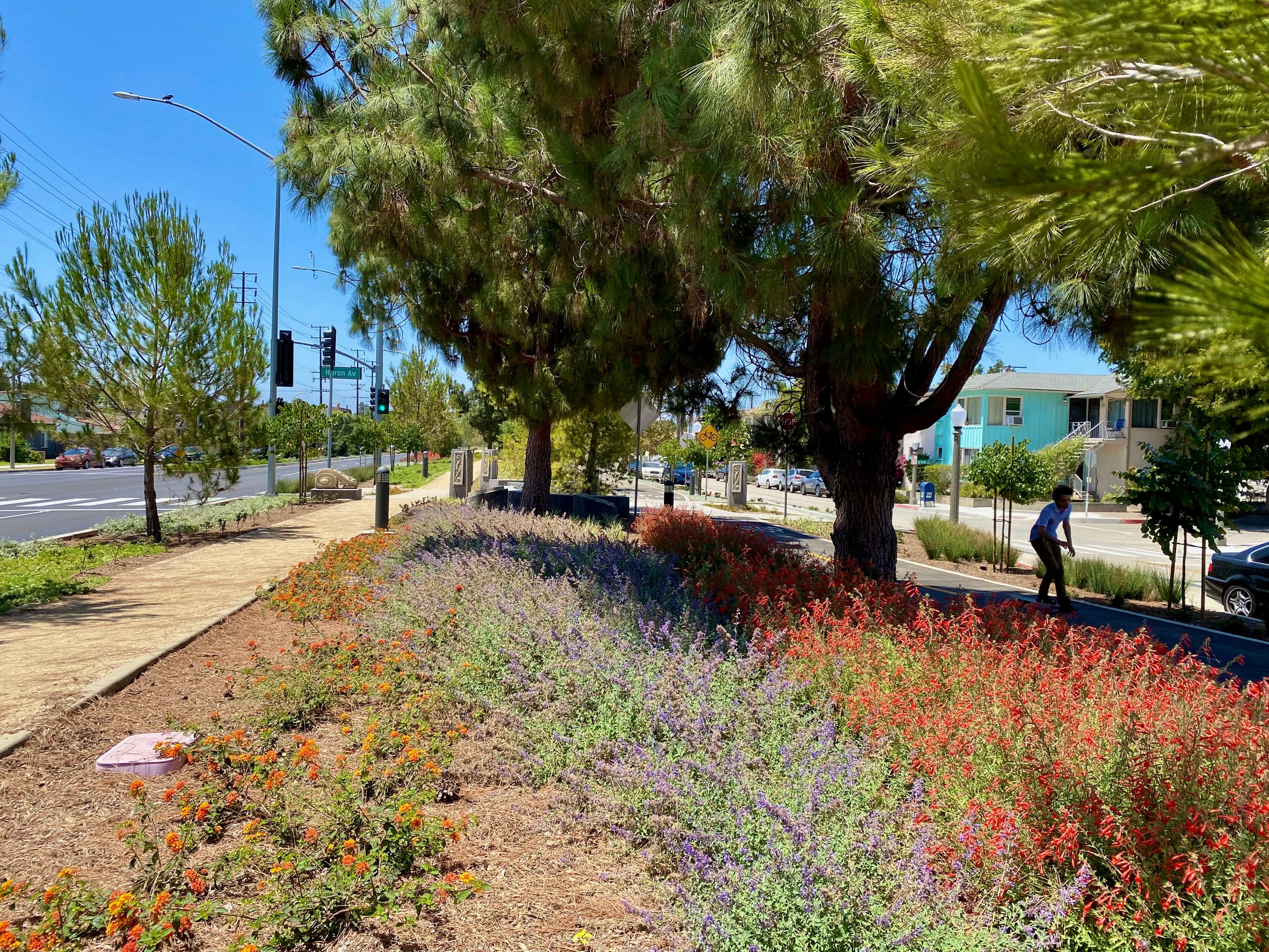 צמחים מושכי מאביקים: הרשימה המומלצת לבית ולגינה בישראל